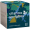 Kit de culture de coriandre Sprigbox
